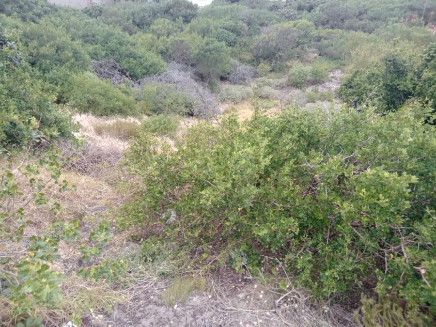 Commercial Property for Sale in Paradise Beach Eastern Cape